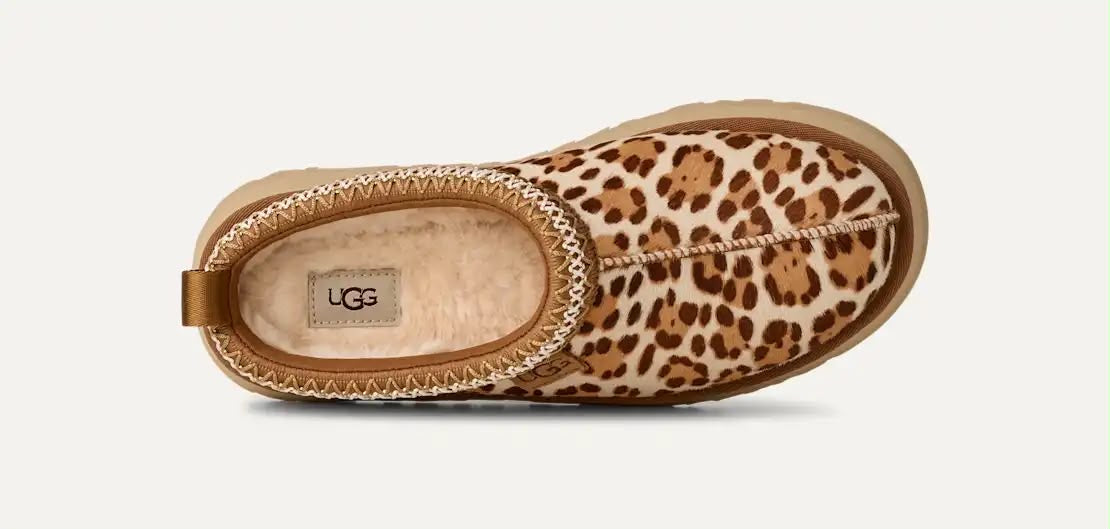 SCARPA TAZZ PLAINS UGG