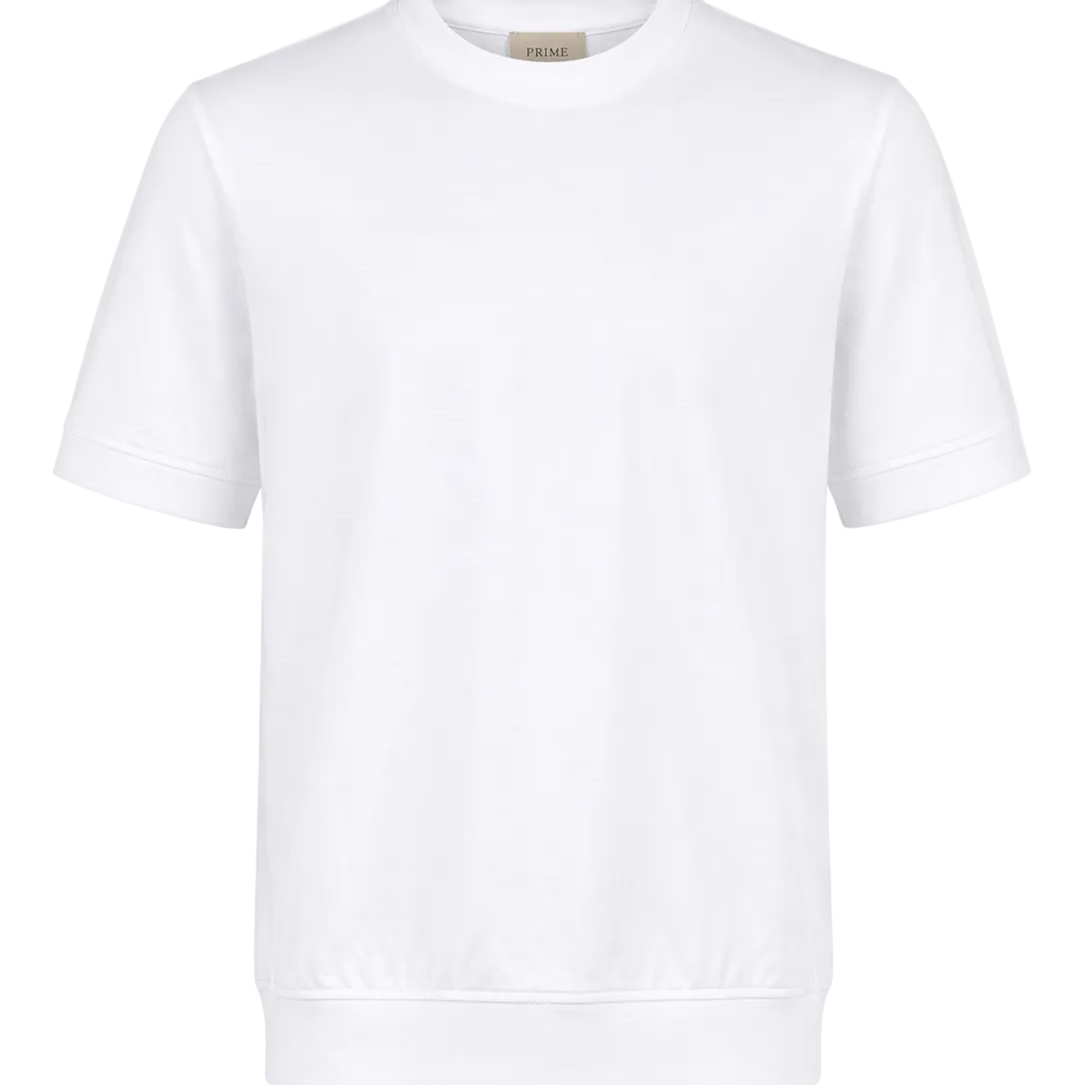 IMG-1284.png