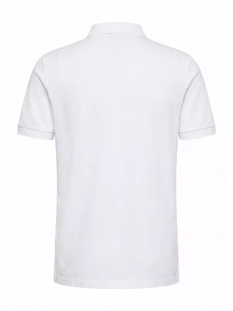 POLO STONE ISLAND